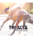 Tri-Acta Equine Supplement - Regular Strength