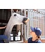 Stübben Frog Care 3-in-1 for Equine Hooves