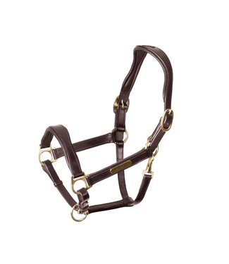 Shires Equestrian Velociti Rapida ergonomic leather halter