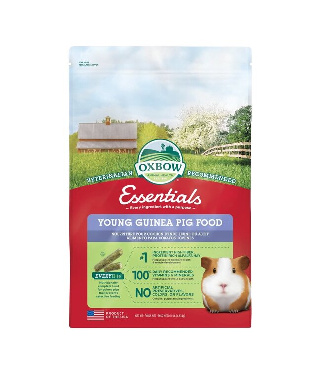 Oxbow Food for young guinea pigs