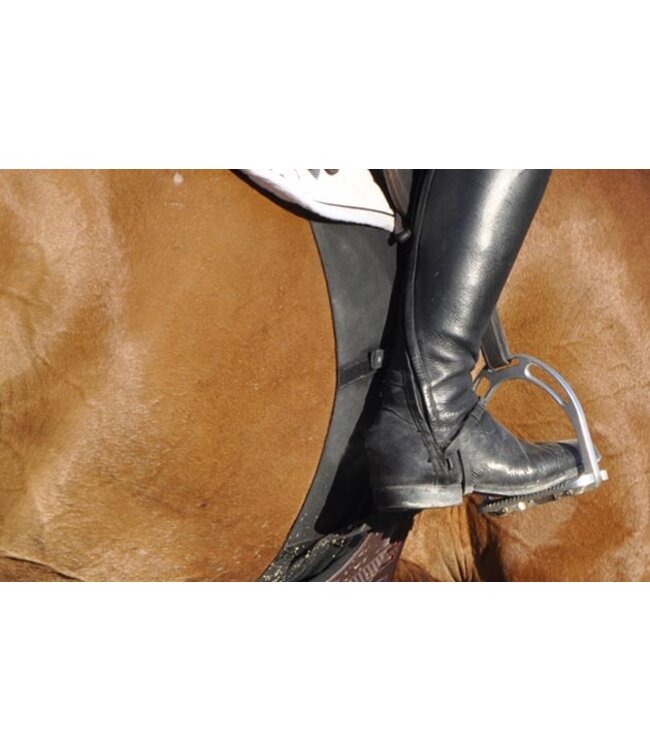 CATAGO Equestrian Belly Band Paddock Animal