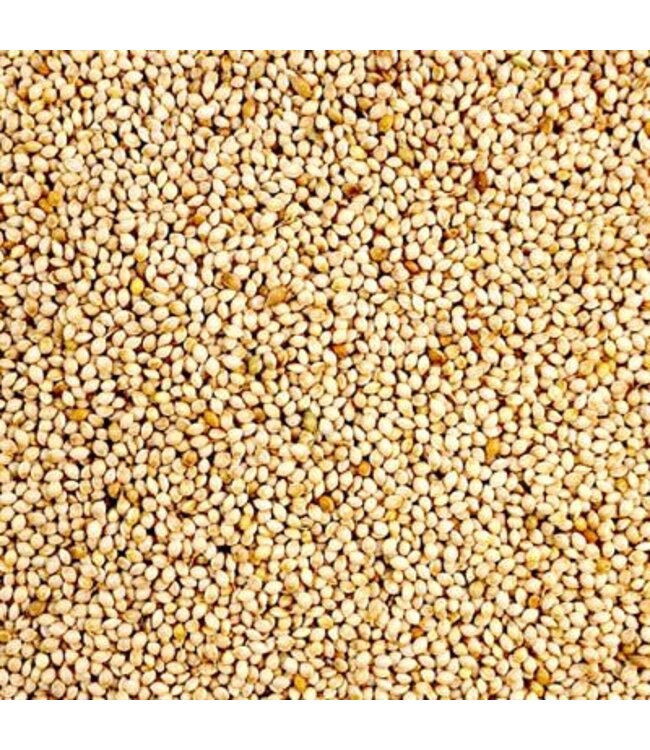 Les Grains Douglass White millet