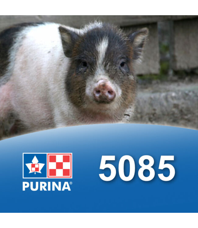 Cargill-Purina Nourriture pour Mini Cochon