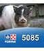Purina Cargill Nourriture pour Mini Cochon