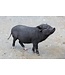 Purina Cargill Nourriture pour Mini Cochon