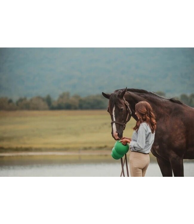 KONG Equine Classic Paddock Animal