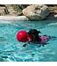 JOLLY PETS Ballon Tug-N-Toss