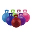 JOLLY PETS Tug-N-Toss with handle