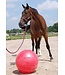 HORSEMEN'S PRIDE Equin Jolly Mega Ball