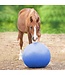 HORSEMEN'S PRIDE Equin Jolly Mega Ball