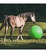 HORSEMEN'S PRIDE Jolly Mega Ball Equin