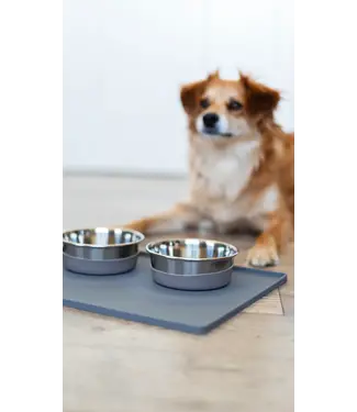 MESSY MUTTS Tapis d'alimentation silicone avec rebords