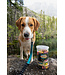 Oven-Baked Tradition Dental Chew Sticks for Dogs