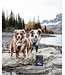 Oven-Baked Tradition All Natural Soft & Chewy Grain-Free Treats