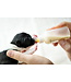 GROBER Puppy milk powder