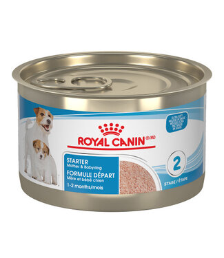 Royal Canin Santé Canine STARTER MOUSSE – nourriture en conserve pour chiots