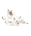 Royal Canin Feline Health Nutrition™ Babycat Milk- Milk Replacer for Kittens