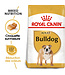 Royal Canin Breed Health Nutrition® Bulldog Adult Dry Dog Food