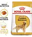 Royal Canin Chien Adulte Golden Retriever
