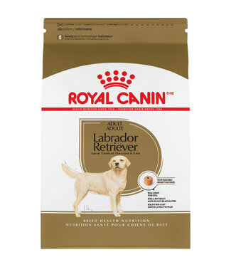 Royal Canin Chien Adulte Labrador Retriever