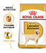 Royal Canin Labrador Retriever Adult Dry Dog Food