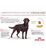 Royal Canin Labrador Retriever Adult Dry Dog Food