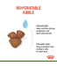 Royal Canin Size Health Nutrition™ Small Starter Mother & Babydog Dry Puppy Food