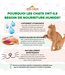 Almo Nature HQS Natural Pack - Rotation Pack (4 flavors)