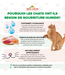 Almo Nature HQS Natural Poulet & Fromage en Bouillon