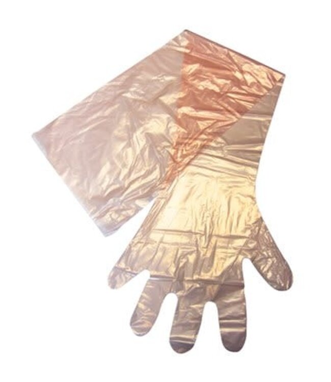Neogen OB Gloves à l'épaule ''X-Sensible'' Transparent
