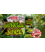 Doktor Doom Jungle Juice Répulsif d'insectes