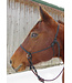 Waldhausen Knotted Halter with Reins