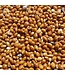 Versele Laga Red Millet Seeds