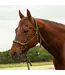 Cashel Beaded Nose Halter