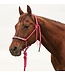 Cashel Beaded Nose Halter