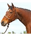 Cashel Braided Nose Halter
