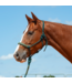 Cashel Braided Nose Halter