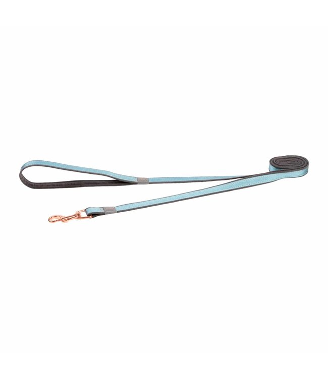 ROGZ Urban Range Laisse classique pour chien