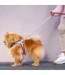 ROGZ Urban Range Classic dog leash
