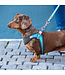 ROGZ Urban Range Classic dog leash