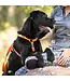 ROGZ Utility Classic Dog Leash