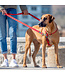 ROGZ Utility Multi Leash for dogs