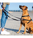 ROGZ Utility Multi Leash for dogs
