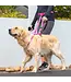 ROGZ Utility Handsfree Dog leash