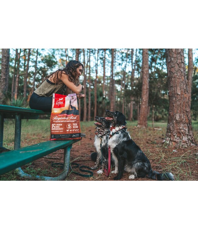ORIJEN Regional Red Dry dog food Paddock Animal & Co
