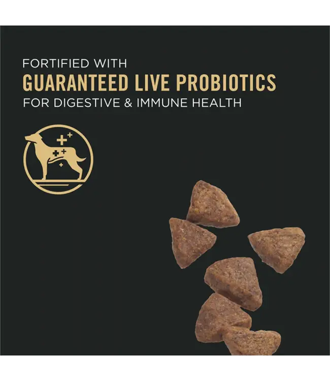 PROPLAN Formule Peau & Estomac Sensibles pour Chien Adulte Paddock