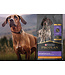 Proplan Performance 30/20 Active Dog