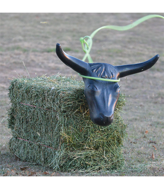 Ger-Ryan Steer head