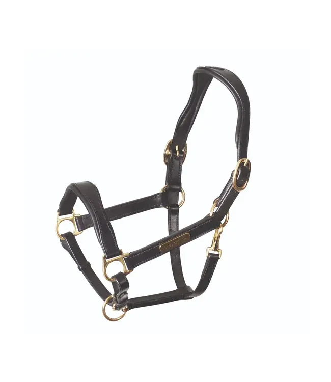 Shires Equestrian Velociti Rapida ergonomic leather halter