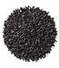 Les Grains Douglass Graines de Chardon